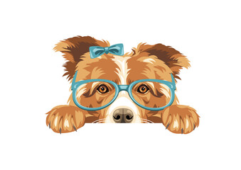 Peeking Border Collie dog with bow and eyeglasses
