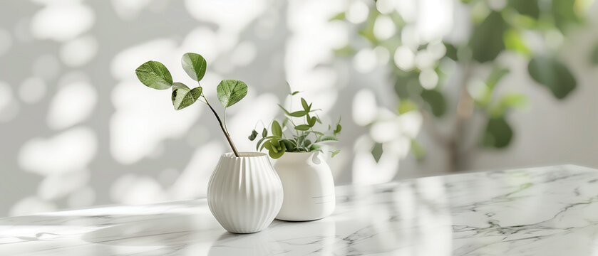 Vase and plants isolated on white marble table and blurred windows background with lense flare and copy space, apartment or kitchen interior design