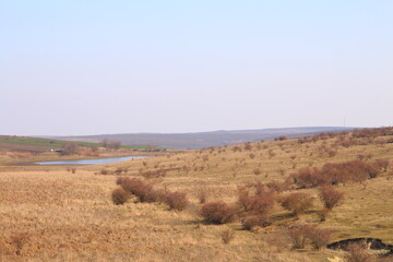 A landscape with dry grass and bushes