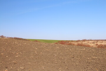 A dirt road with grass and blue sky