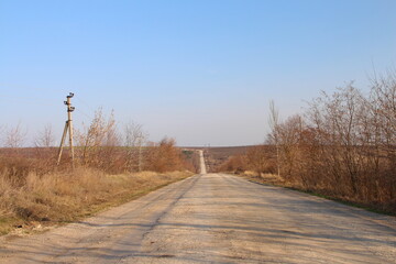 A road with trees on the side