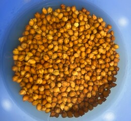 Black chickpeas soaked in water.