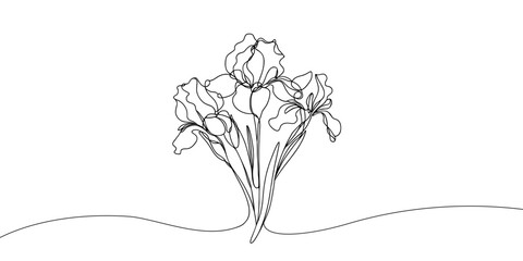 Iris flower in continuous line art drawing style. Iris flower black line sketch. Botanical linear design isolated on white background Hand drawn vector illustration.