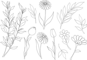 Garden Things, Flowers and Leaf.
Adobe Illustrator Artwork - obrazy, fototapety, plakaty