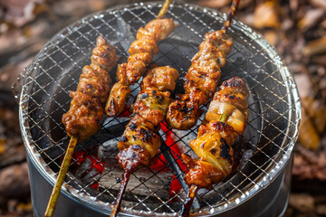 やきとり　Yakitori 