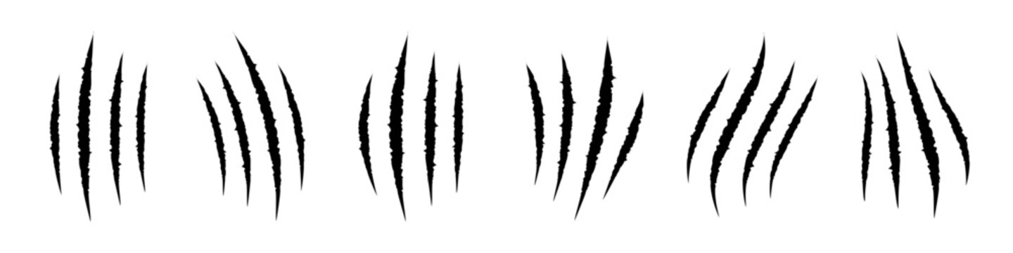 Scratch claws of animal, scratches mark set, scratch scrape track, cat tiger scratches paw shape &ndash; vector