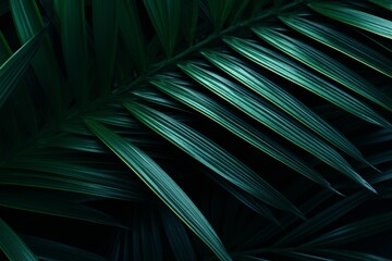 Abstract dark tropical leaf texture arrangement in flat lay style for nature concept design