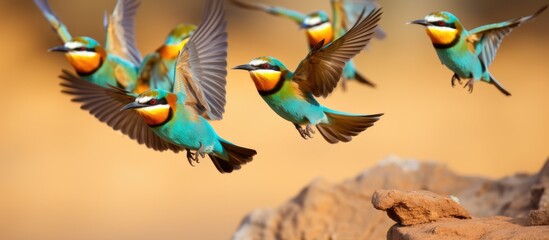 A group of vibrant songbirds are soaring above a large rock in nature, showcasing their beautiful feathers and melodious chirps as they fly gracefully with their wings