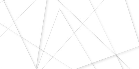 soft silver or white abstract background, Minimal geometric white light background abstract design.gray leaves that reflect concrete walls on a white wall surface.