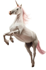 A white unicorn with pink hair rearing isolated on white or transparent background, png clipart, design element. Easy to place on any other background.
