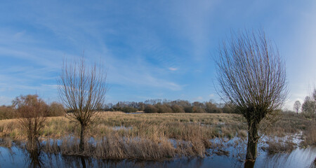 Fisheye Perspektive Felder und Wiesen nach einem Unwetter überschwemmt