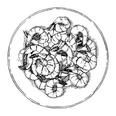 Plate of prawns, hand drawn sketch, vector illustration 