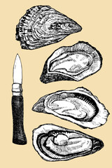Oysters with knife, hand drawn sketch, vector illustration 
