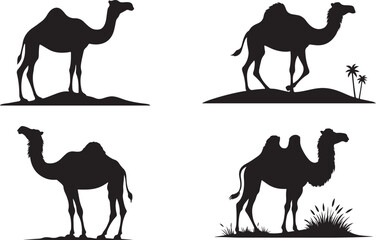 About camel silhouette, illustration 2.eps