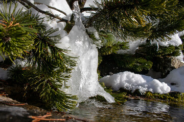 Schnee und eis schmelzen beim schönen Wetter und machen wasser teich mit frischen und kalten Wasser vonn Natur