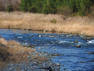 山間部の田舎に流れている川の風景