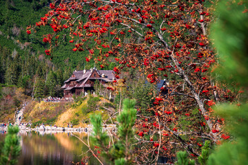 Traditional wooden cottage in Tatras over the mountain Lake Morskie Oko. Very popular tourist place in Poland. Beautiful place in the Tatra National Park with colorful mountain ash in foreground. - obrazy, fototapety, plakaty