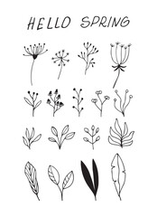 Bouquet maker - different flowers vector elements. Colored bouquet. Collection of various bright flowers isolated on a white background. For logo design, tattoo, postcard. Flat design. Vector