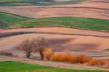 Landscape. Agricultural fields  in spring. Roztocze. Poland.