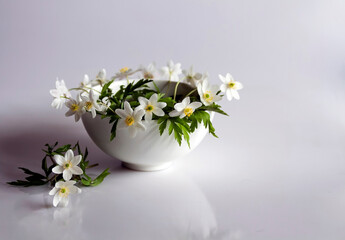 - white anemones on a white background