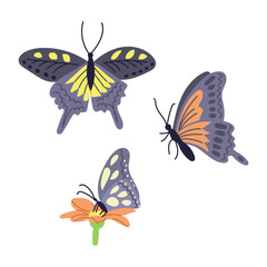 Set of hand drawn colorful butterflies and flower. Spring concept. Sketchy hand drawn elements on white background. Ideal for decoration, stickers, greetings, banner and background