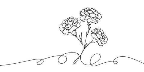 Vector image of a bouquet of carnations, in a linear style, drawn with one line.