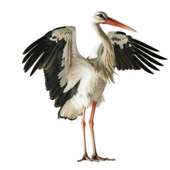 Obraz premium stork with wings