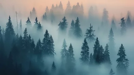 Papier Peint photo Forêt dans le brouillard misty morning in the mountains