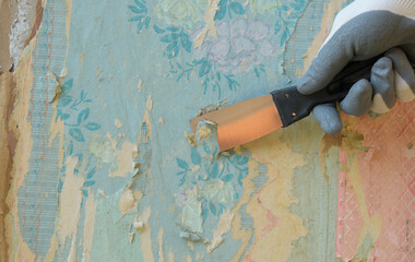 Young adult man hand tear off old light wallpaper with scraper from wall. Closeup. Preparing for...