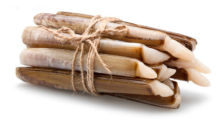 Raw razor clams isolated on white background. © Екатерина Иванова
