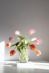 Aesthetic spring tulips, background with copy space, soft movement effect