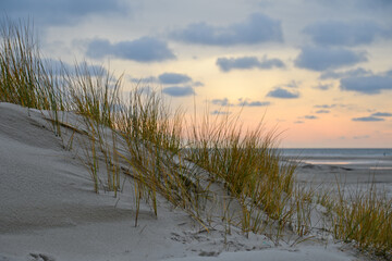 Dunes on the North Frisian Island Amrum in Germany, dune grass, sunset, beach