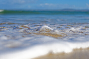gros plan sur de l'écume de mer