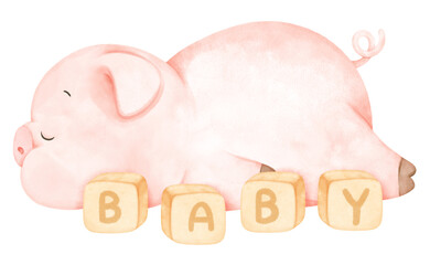 Cute pig sleeping and baby blocks