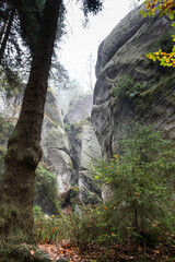 Tschechien, Andersbach, Felsenstadt. Blick auf besondere Felsformationen