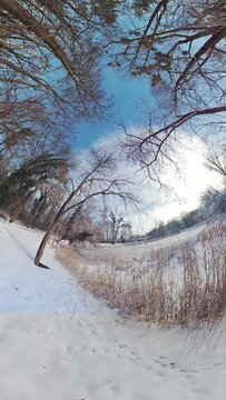 Embark on a captivating virtual journey through a serene snowy forest in this 360-degree VR video. The immersive footage transports you to a tranquil winter wonderland, where you ll feel like youre