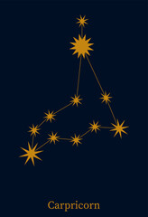 Capricorn zodiac constellation. Symbol astrological horoscope. Vector illustration minimalist style.