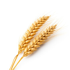 An ear of wheat, white background, professional photo сreated with Generative Ai