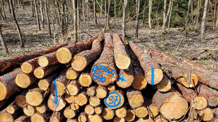 Storage of firewood, work in the woods, cut wood, woodcutter, firewood for fireplace, collect...