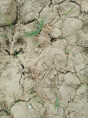 cracked soil background, cracked ground texture as a wallpaper background, creativity of natural beauty 