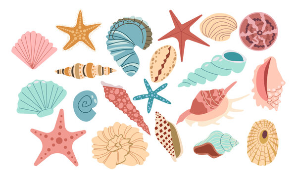 Sea shell, sink cartoon set. Ocean exotic underwater seashell conch aquatic mollusk, sea spiral snail, marine starfish collection. Tropical beach shells nature aquatic water flat design illustration