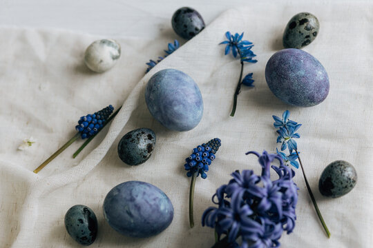 Stylish easter eggs and spring flowers on rustic wooden table. Happy Easter! Natural dye marble and blue eggs, purple hiacynt blossoms. Minimal flat lay