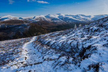 The Cairngorms from  Meall a' Bhuachaille via Ryvoan Bothy