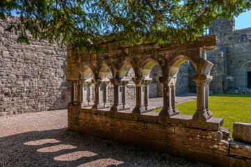 Ireland, Augustinian abbey of Cong LR24 - obrazy, fototapety, plakaty