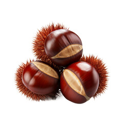 chestnuts isolated on white background