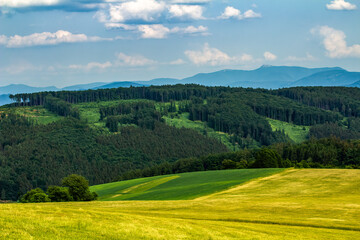 Fototapeta na wymiar Summer country landscape with forest and partially mowed meadow.