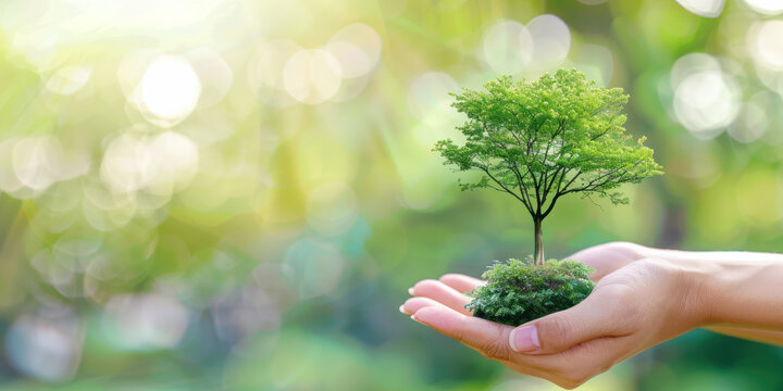 Sustainability in Hand. An open hand cradling a lush green tree against a soft bokeh light background symbolizing environmental care and sustainability.