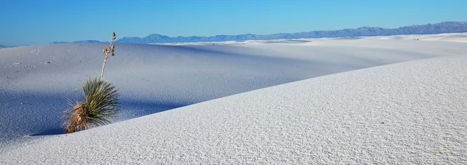 Wandaufkleber White desert © Galyna Andrushko