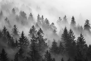 Fotobehang A serene monochrome landscape featuring silhouetted trees shrouded in a dense, misty atmosphere © smth.design