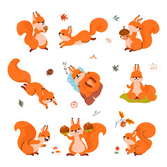 Fototapeta premium Cartoon squirrel. Forest funny squirrels in different poses. Animals sleep, storing food for winter, play and meditation. Cute nowaday vector character